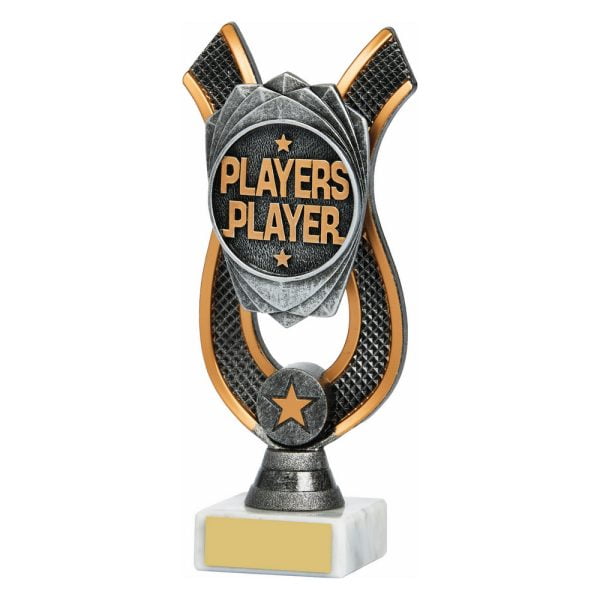 Players Player Award