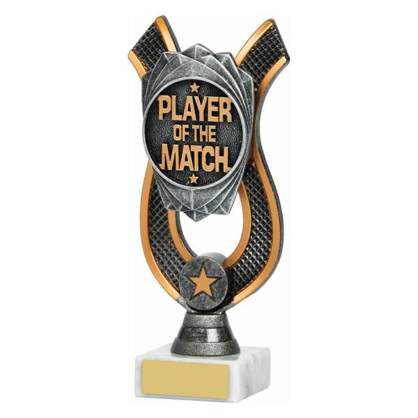 Player of the Match Award