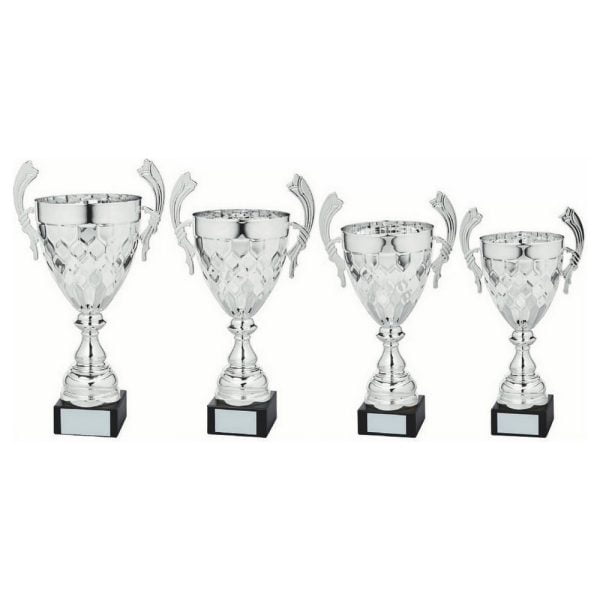 Silver Presentation Cup With Handles