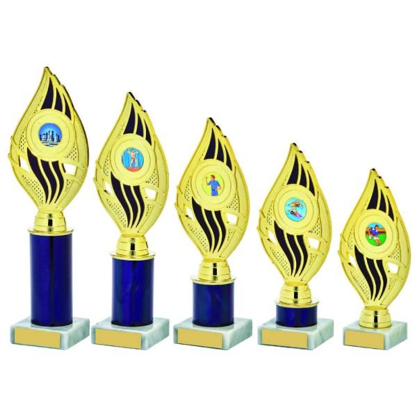 Gold/Blue Holder Blue Tube Award
