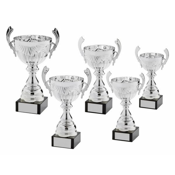Silver Presentation Cup With Handles