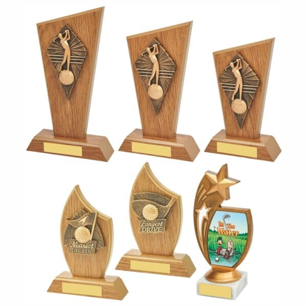 x 6 Assorted Golf Awards